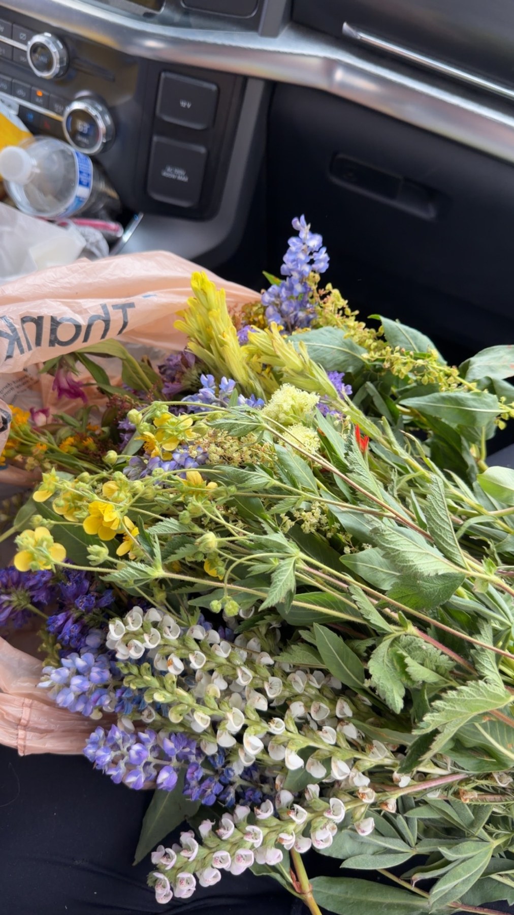Bag full of wildflowers picked on West Mountain